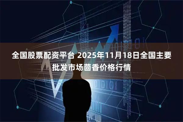 全国股票配资平台 2025年11月18日全国主要批发市场茴香价格行情